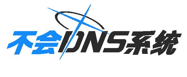 不会DNS